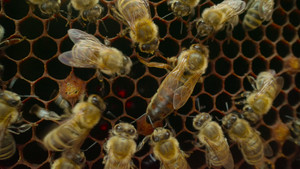 Chapter 2: Following the Sun