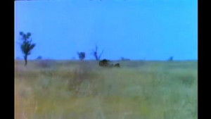 Spotted Ghost - Part 2