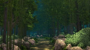 Adventure Camp: Ziplining