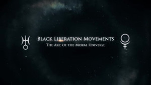 Civil Rights Movements: The Arc of the Moral Universe