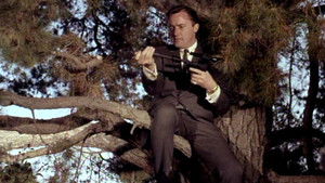 The Indian Affairs Affair