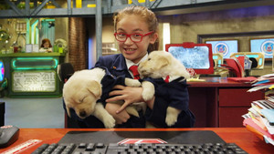 Villains and Puppies