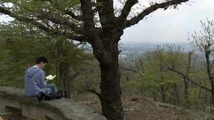 Mt. Takao, Why wander into the mountains of the city?