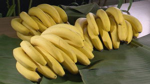 BANANAS
