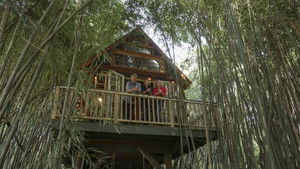 Ultimate Treehouses VI