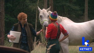 Toverkunsten en wonderwortels