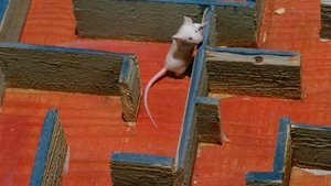 Dr. Winchester and Mr. Hyde