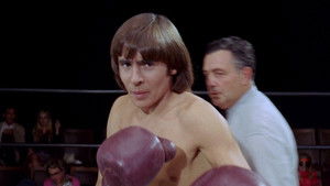 Monkees in the Ring