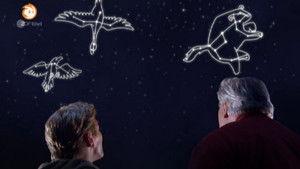 Sterne - Blick in unendliche Weiten