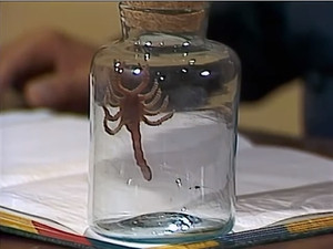 Ciencias Naturales - parte 1