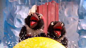 Penguin Bobsleigh Team