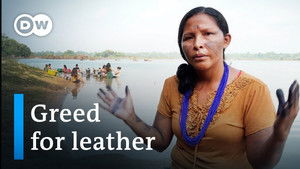 Illegal leather - How the car industry is threatening the rainforest