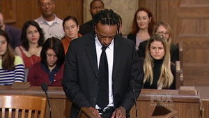 Dog Stud Service Disaster