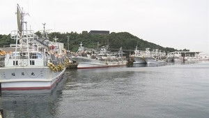 Life on the Squid Hunt