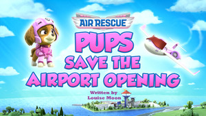 Air Rescue: Pups Save the Airport Opening