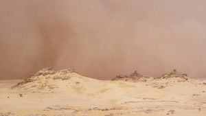 Surviving the Impossible