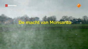 De macht van Monsanto