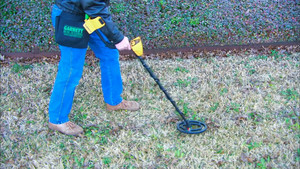 Metal Detectors, Rum, Tiffany Reproductions, Aircraft Engines