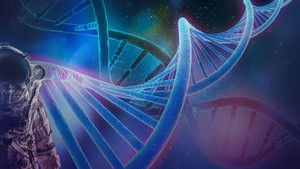 Hybridization Programs Exposed