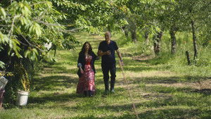 Italian Comfort Food