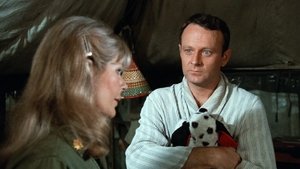 Hot Lips and Empty Arms