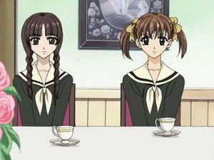 The Cherry Tree Among the Ginkgos