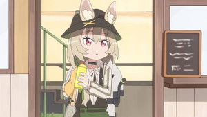 Whitewashing and Painting