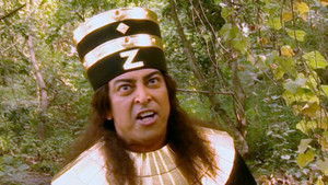 Zaal Searches For Zalima