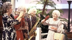 The Days and Nights of Sophia Petrillo