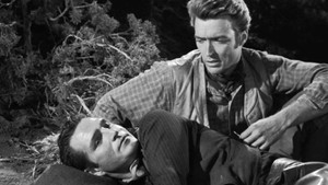 Incident of the Calico Gun