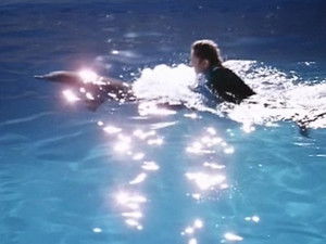 A Dolphin Song For Lee (2)