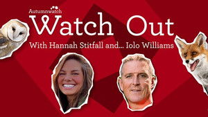 Watch Out with Hannah Stitfall and Iolo Williams