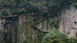 Immortal Penglai Falls into the Devil’s Path