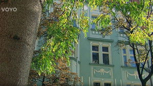 Snad to vyjde příště