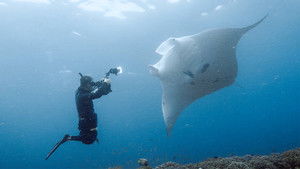 Paradise in Peril: Part 2