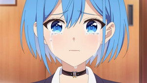 Hydrangea and a New Seed