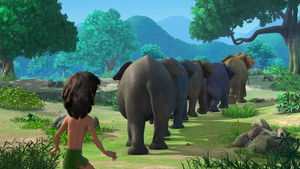 The Elephant's Secret