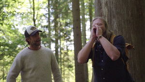 Poland, Katowice and primeval forest