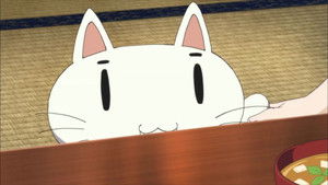 The Answer Is Up in the Sky!