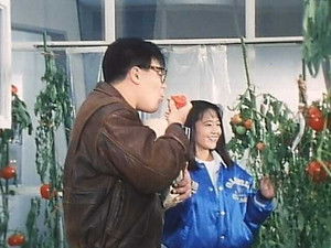 The Tomato Field's Great Demon King