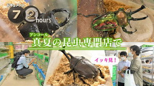 See You in Osaka's Korea Town