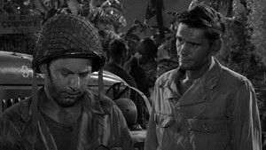 The Purple Testament