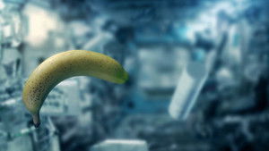 Perché la Terra non si rompe