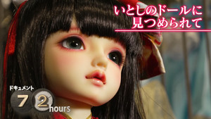 Akihabara Doll Store