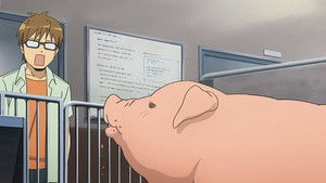 Hachiken Hesitates Over Pork Bowl