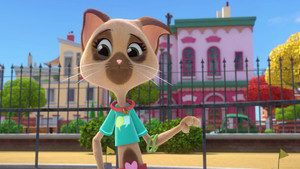 The Great Scooter Race