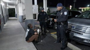 Vehicle and Foot Pursuit