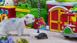 Mittens' Perfect Toy