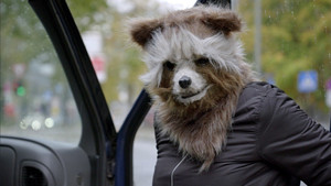 Waschbär und Kaninchen