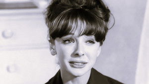 Where is Chick Lorrimer? Where Has He Gone?